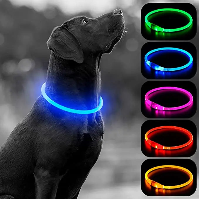 The Happy Tail Co™ USB Rechargeable LED Dog Collar - Glow-in-the-Dark Safety Light for Night Walks