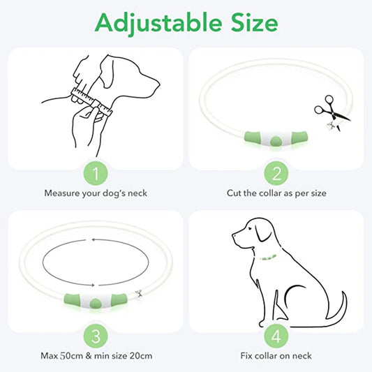 The Happy Tail Co™ USB Rechargeable LED Dog Collar - Glow-in-the-Dark Safety Light for Night Walks
