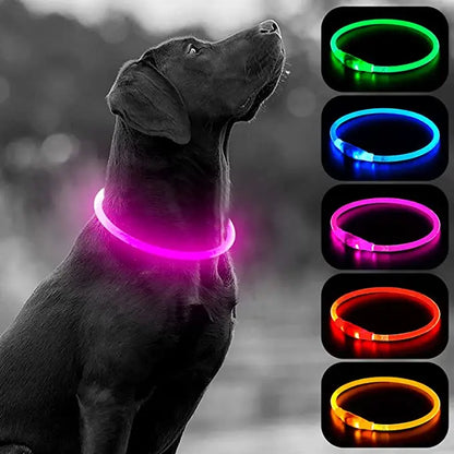 The Happy Tail Co™ USB Rechargeable LED Dog Collar - Glow-in-the-Dark Safety Light for Night Walks