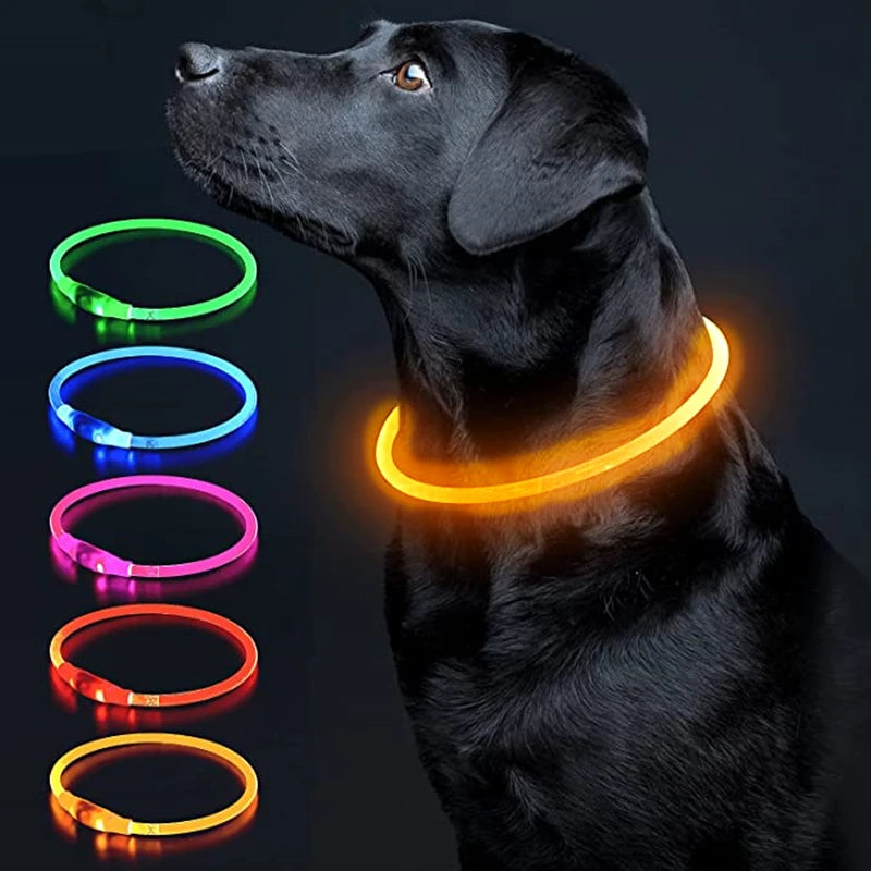 The Happy Tail Co™ USB Rechargeable LED Dog Collar - Glow-in-the-Dark Safety Light for Night Walks