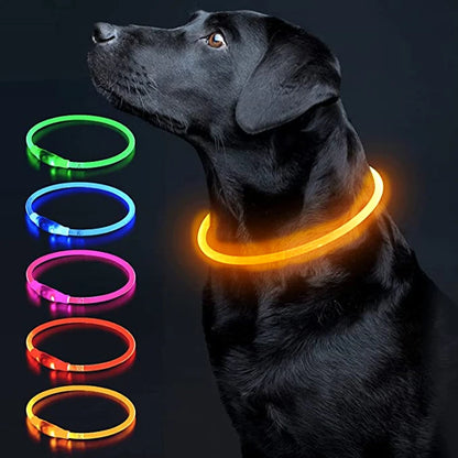 The Happy Tail Co™ USB Rechargeable LED Dog Collar - Glow-in-the-Dark Safety Light for Night Walks