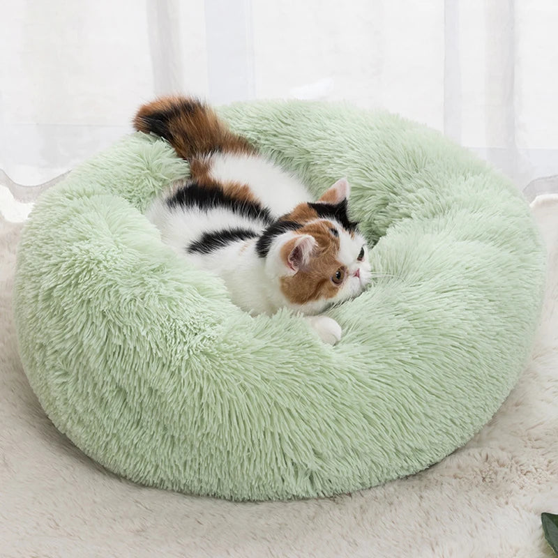 The Happy Tail Co™ Calming Donut Pet Bed - Anti-Anxiety & Ultra-Soft ...Ultra-Soft - Premium Edition