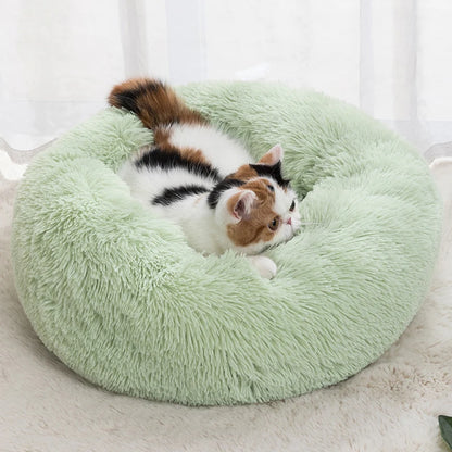 The Happy Tail Co™ Calming Donut Pet Bed - Anti-Anxiety & Ultra-Soft ...Ultra-Soft - Premium Edition