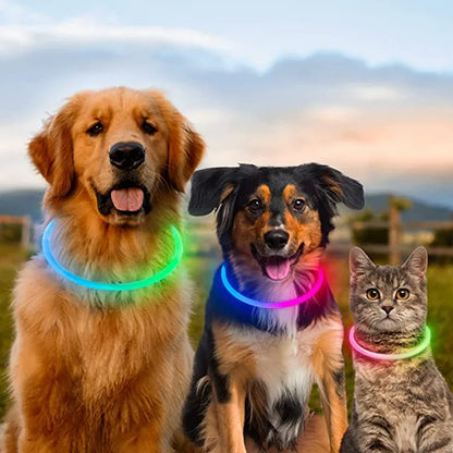 The Happy Tail Co™ USB Rechargeable LED Dog Collar - Glow-in-the-Dark Safety Light for Night Walks