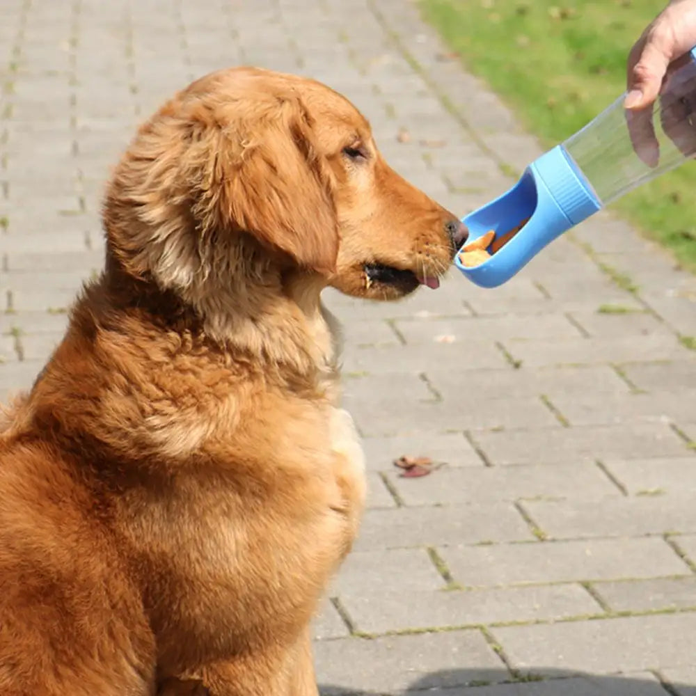 The Happy Tail Co™ Portable 2-in-1 Pet Water Bottle & Food Container - Leak-Proof Travel Dispenser for Dogs & Cats