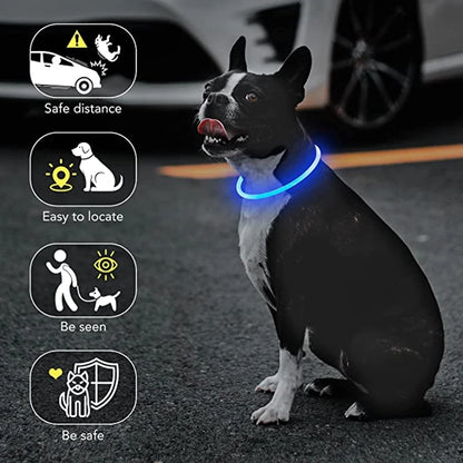 The Happy Tail Co™ USB Rechargeable LED Dog Collar - Glow-in-the-Dark Safety Light for Night Walks