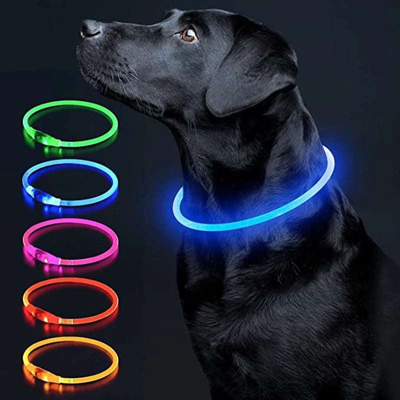 The Happy Tail Co™ USB Rechargeable LED Dog Collar - Glow-in-the-Dark Safety Light for Night Walks