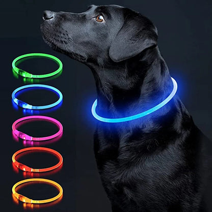The Happy Tail Co™ USB Rechargeable LED Dog Collar - Glow-in-the-Dark Safety Light for Night Walks