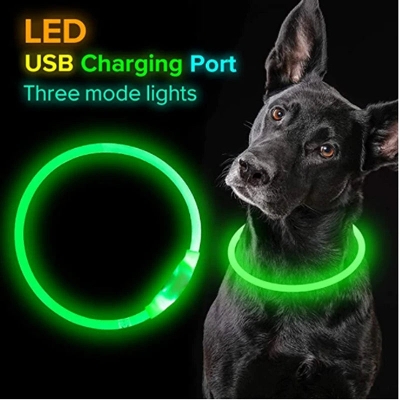 The Happy Tail Co™ USB Rechargeable LED Dog Collar - Glow-in-the-Dark Safety Light for Night Walks