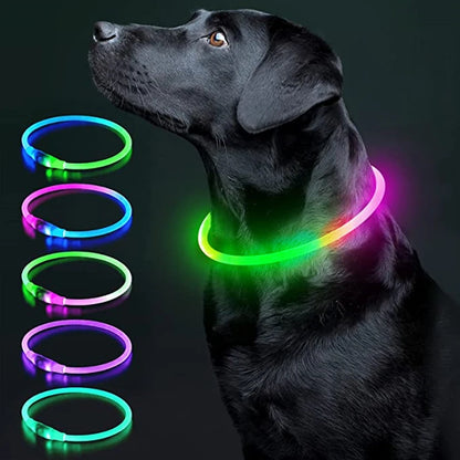 The Happy Tail Co™ USB Rechargeable LED Dog Collar - Glow-in-the-Dark Safety Light for Night Walks