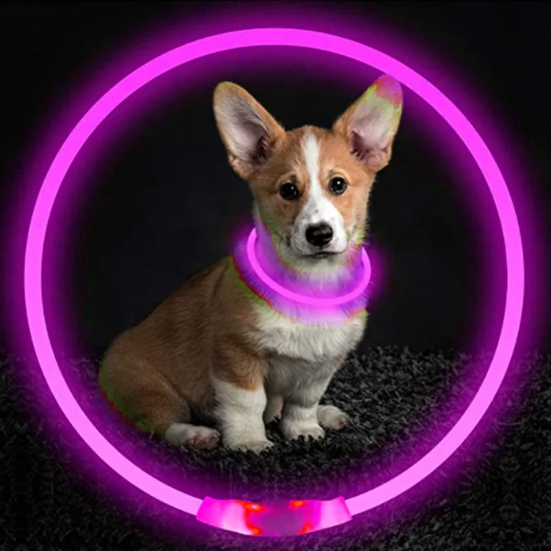 The Happy Tail Co™ USB Rechargeable LED Dog Collar - Glow-in-the-Dark Safety Light for Night Walks