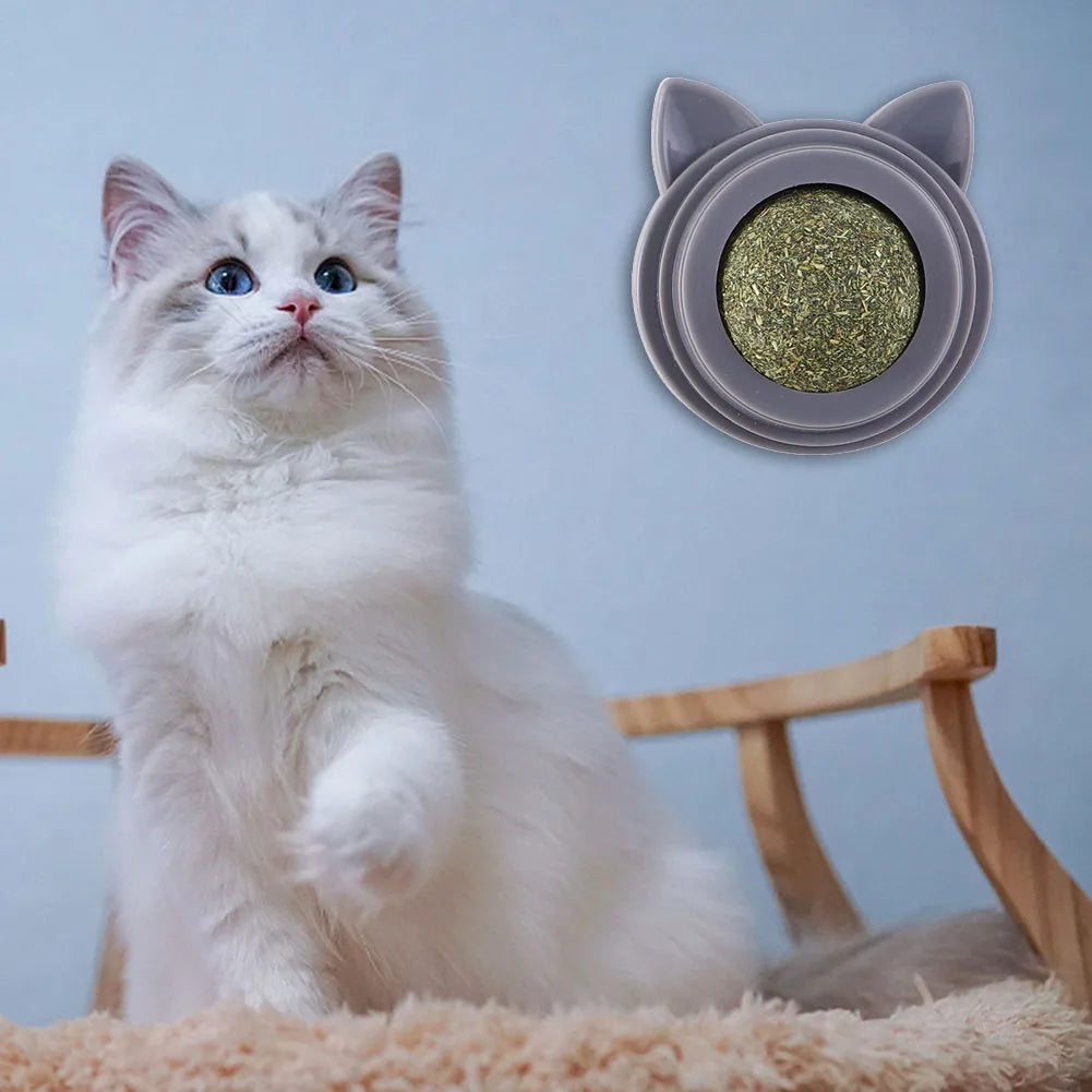 The Happy Tail Co.™ 3-Piece Rotatable Catnip Wall Balls - Natural Licking Snacks for Dental Cleaning & Anxiety Relief