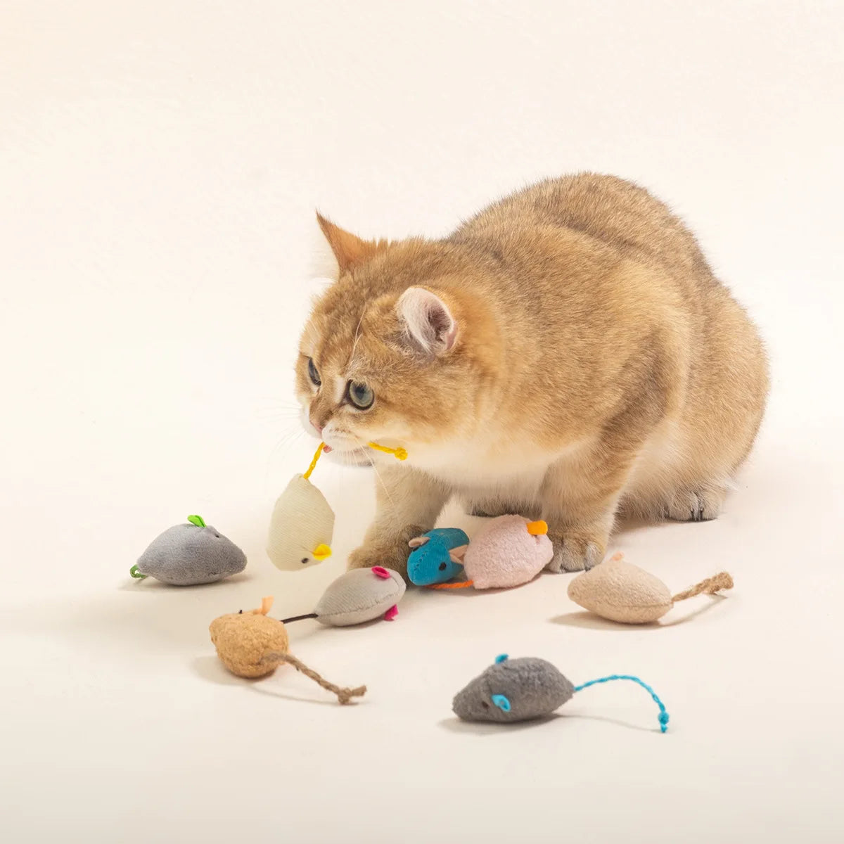 The Happy Tail Co™ 16-Piece Interactive Cat Mice Toy Set - Soft Plush Catnip-Filled Play Mice for Indoor Kittens