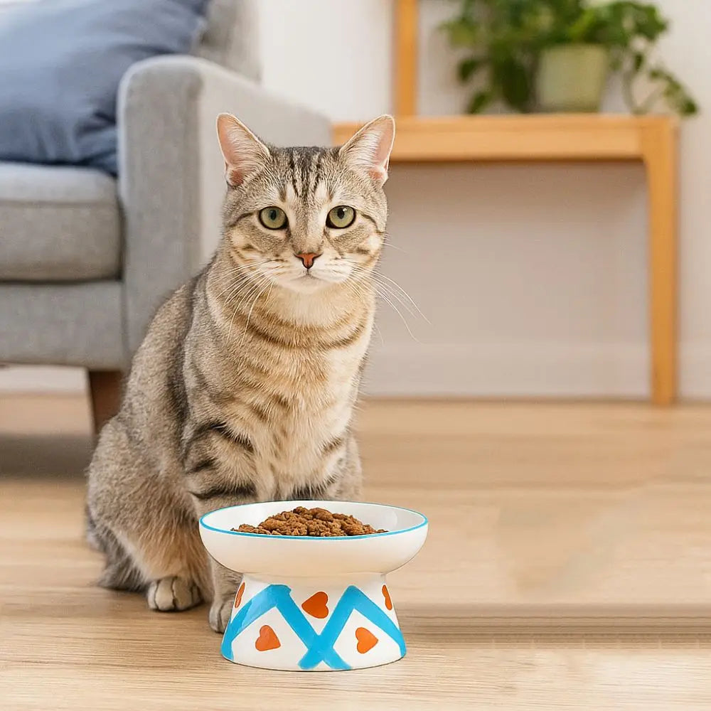 The Happy Tail Co™ Premium Ceramic Orthopedic Pet Bowl - Slanted Neck Guard & Anti-Tipping Elevated Feeder