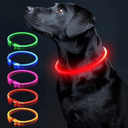 The Happy Tail Co™ USB Rechargeable LED Dog Collar - Glow-in-the-Dark Safety Light for Night Walks