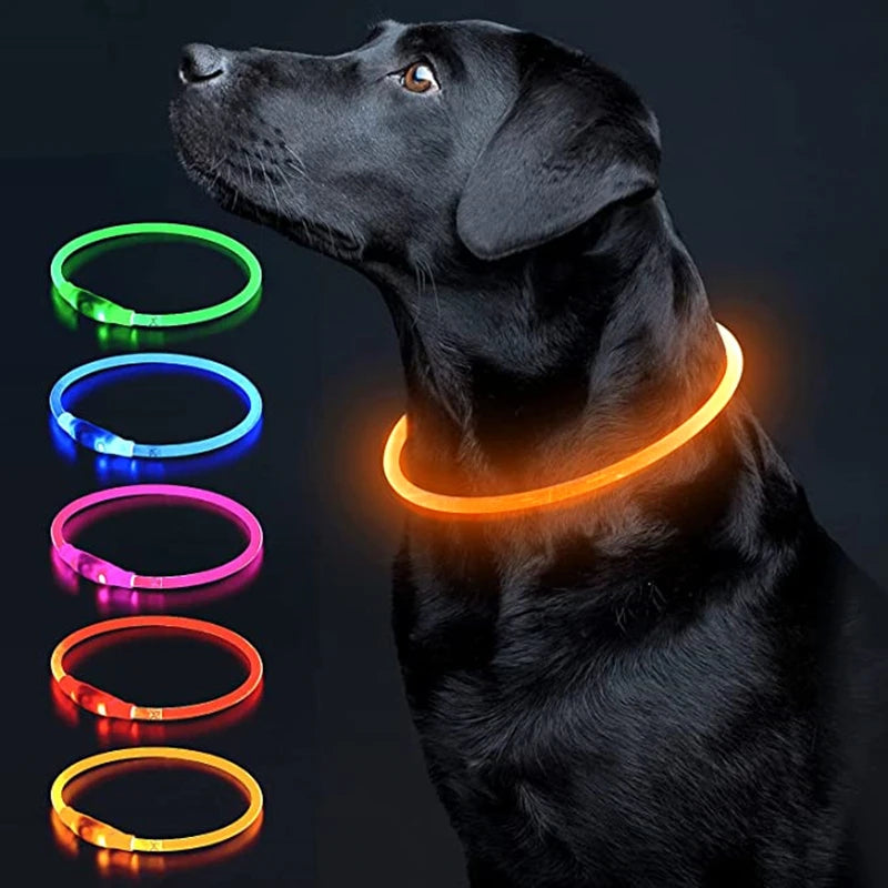 The Happy Tail Co™ USB Rechargeable LED Dog Collar - Glow-in-the-Dark Safety Light for Night Walks