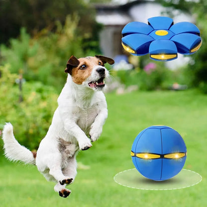 The Happy Tail Co™ 2-in-1 Flying Saucer Ball - Interactive Magic Disc Toy for Outdoor Dog Games