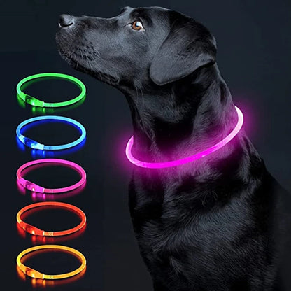 The Happy Tail Co™ USB Rechargeable LED Dog Collar - Glow-in-the-Dark Safety Light for Night Walks