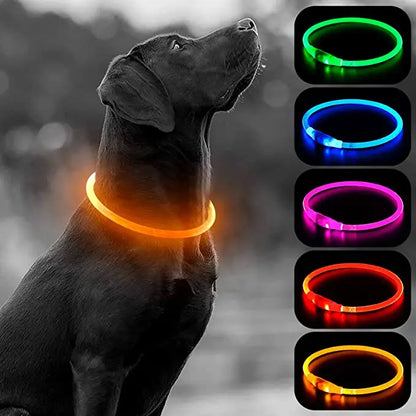 The Happy Tail Co™ USB Rechargeable LED Dog Collar - Glow-in-the-Dark Safety Light for Night Walks