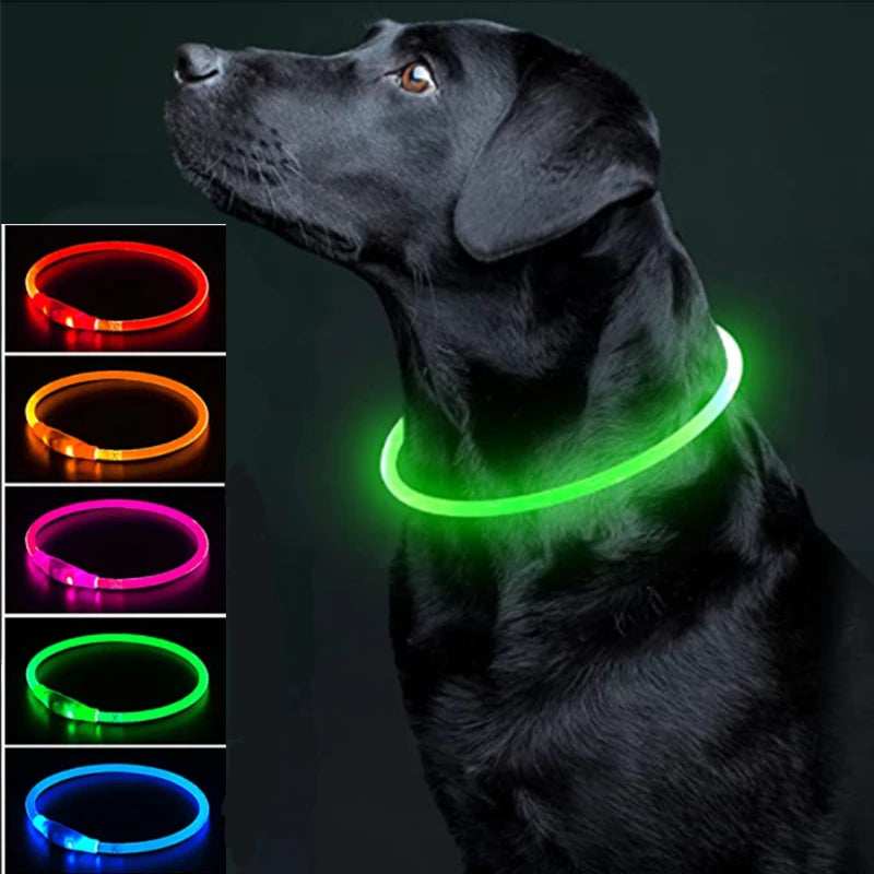 The Happy Tail Co™ USB Rechargeable LED Dog Collar - Glow-in-the-Dark Safety Light for Night Walks