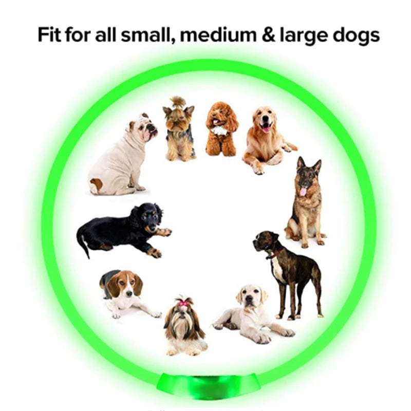 The Happy Tail Co™ USB Rechargeable LED Dog Collar - Glow-in-the-Dark Safety Light for Night Walks