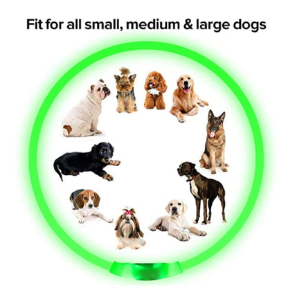 The Happy Tail Co™ USB Rechargeable LED Dog Collar - Glow-in-the-Dark Safety Light for Night Walks