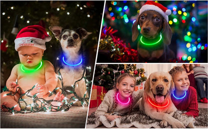 The Happy Tail Co™ USB Rechargeable LED Dog Collar - Glow-in-the-Dark Safety Light for Night Walks
