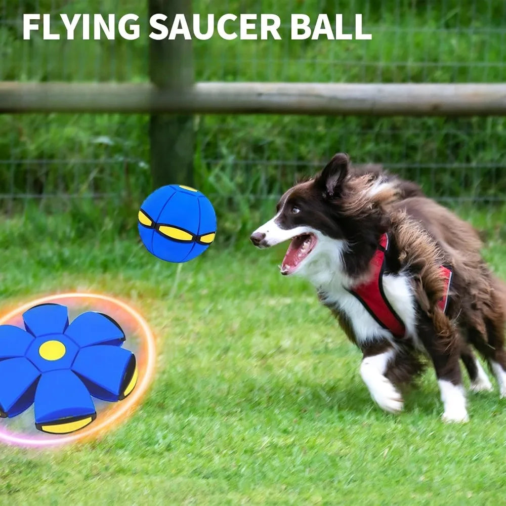 The Happy Tail Co™ 2-in-1 Flying Saucer Ball - Interactive Magic Disc Toy for Outdoor Dog Games