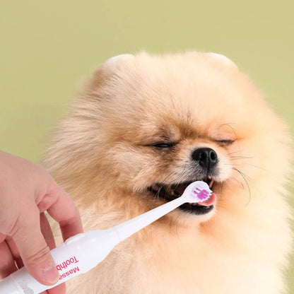 The Happy Tail Co 2Pcs Portable Electric Ultrasonic Toothbrush for Pets - Waterproof & Professional Dental Care Kit