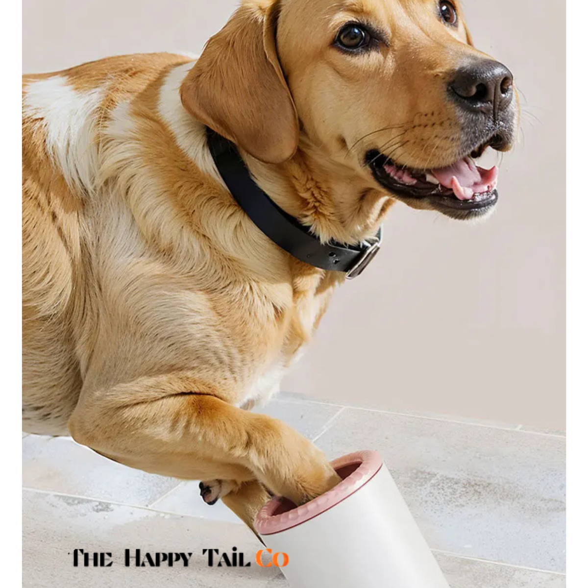 The Happy Tail Co Automatic Pet Paw Washer - USB Rechargeable Electric Dog Paw Cleaner with Soft Silicone Brushes