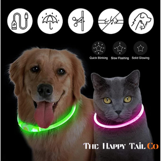 The Happy Tail Co™ USB Rechargeable LED Dog Collar - Glow-in-the-Dark Safety Light for Night Walks