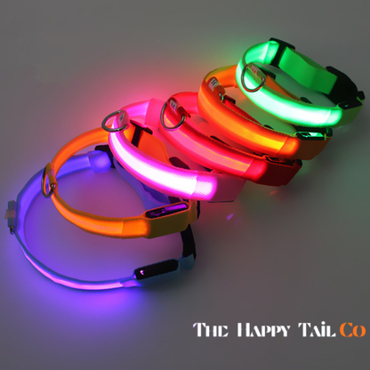 The Happy Tail Co™ USB Rechargeable LED Dog Collar - Glow-in-the-Dark Safety Light for Night Walks