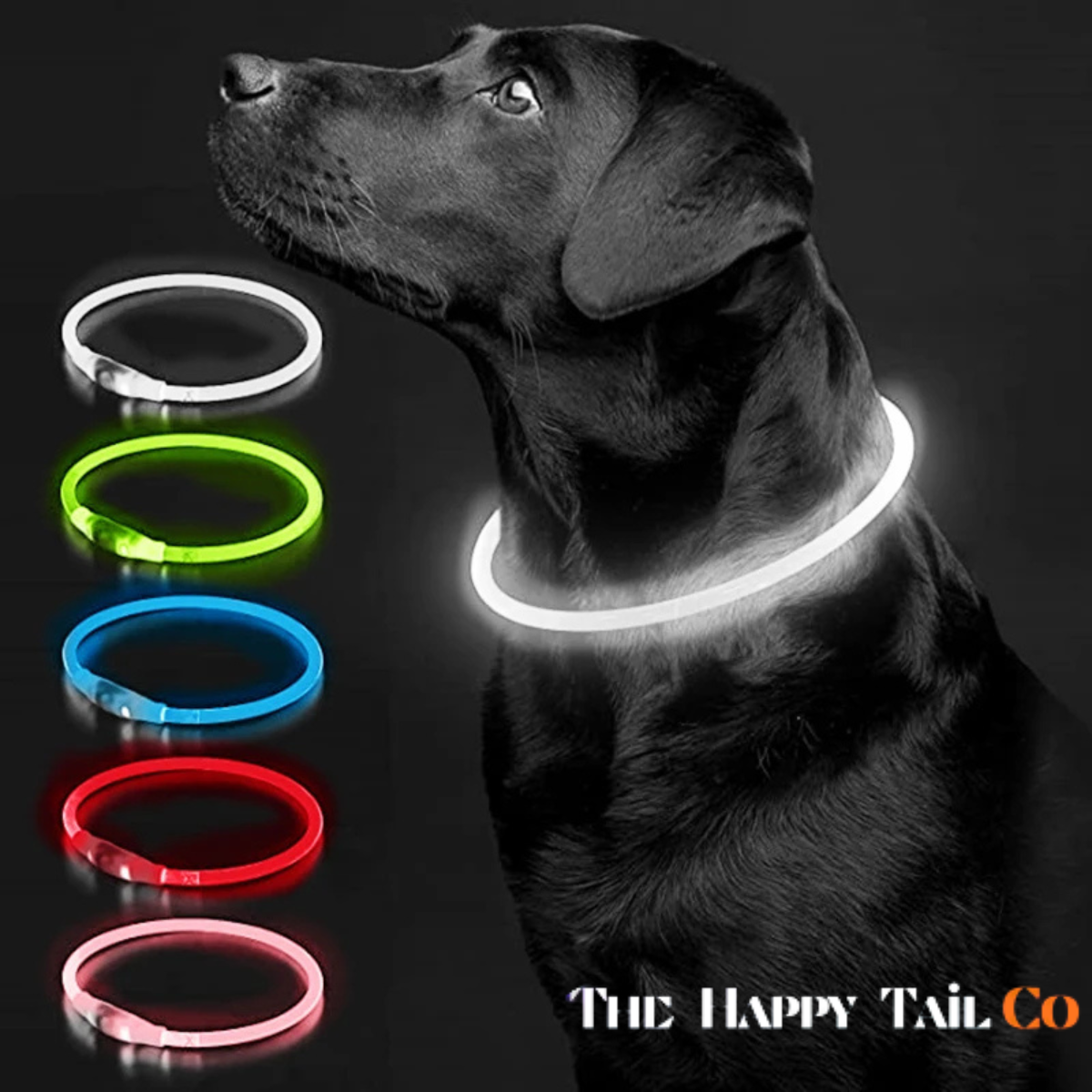 The Happy Tail Co™ USB Rechargeable LED Dog Collar - Glow-in-the-Dark Safety Light for Night Walks