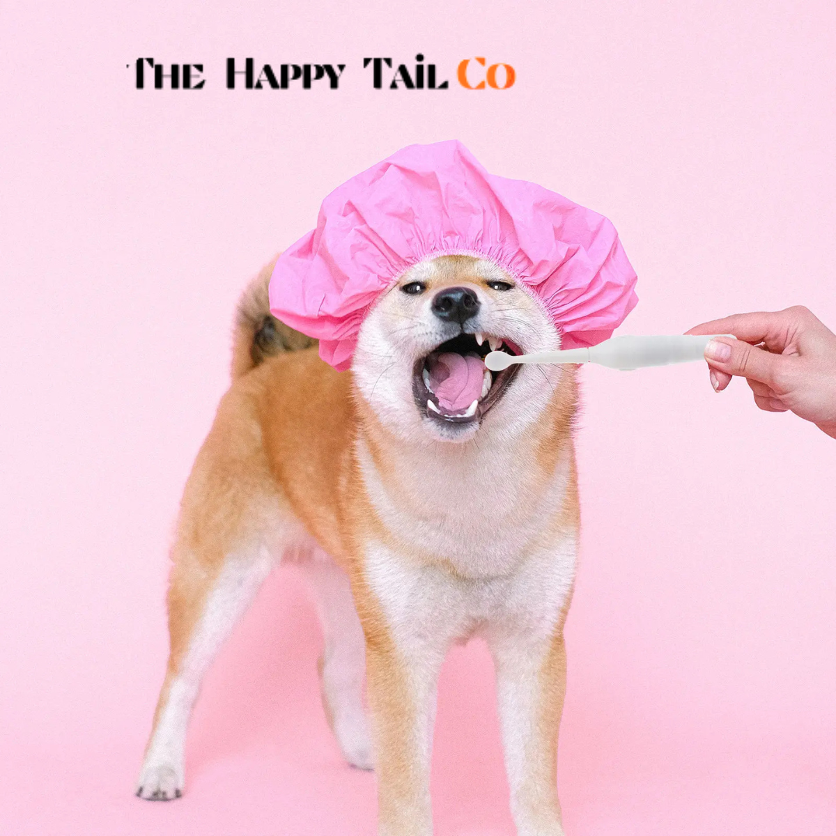 The Happy Tail Co 2Pcs Portable Electric Ultrasonic Toothbrush for Pets - Waterproof & Professional Dental Care Kit